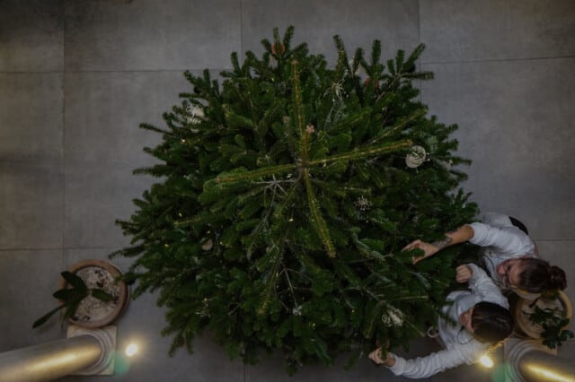 hotel-placidoygrata-sevilla-navidad-7